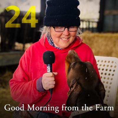 Happy News + Good Morning from the Farm #24