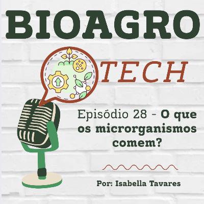 Episódio 28 - O que os microrganismos comem? Episódio 28 - O que os microrganismos comem?