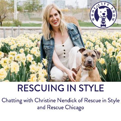Rescuing in Style - Chatting with Christine Nendick of Rescue in Style and Rescue Chicago