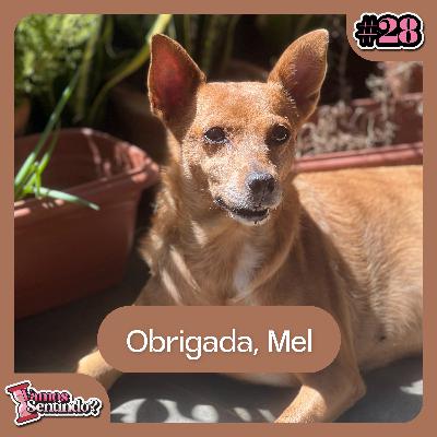 Quando a saudade te ensina | #28