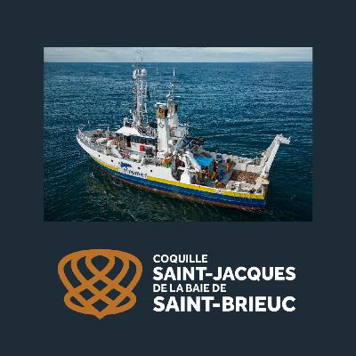 L'Ifremer, alliée de poids de la coquille Saint-Jacques de Baie de Saint-Brieuc L'Ifremer, alliée de poids de la coquille Saint-Jacques de Baie de Saint-Brieuc