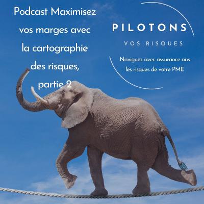 Maximisez vos marges avec la cartographie des risques - partie 2 Maximisez vos marges avec la cartographie des risques - partie 2