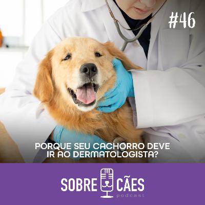 Por que seu cachorro deve ir ao Dermatologista - Tudo sobre Cachorros