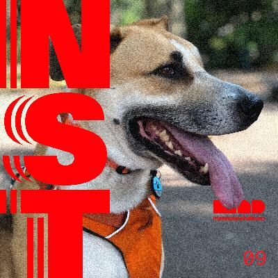 Are suburban dogs happier than city dogs?