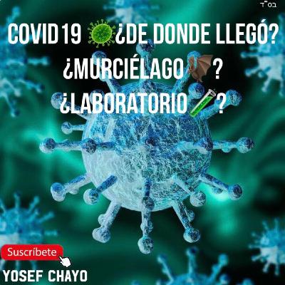 Covid19 ¿de donde llegó? ¿Murciélago? ¿Laboratorio?