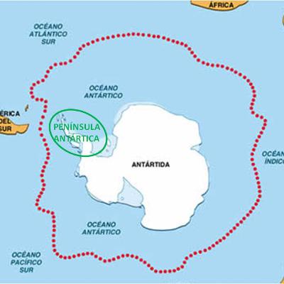 Los Animales del antartico (Parte1) Los Animales del antartico (Parte1)