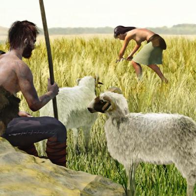 Prehistoric Herders More Sophisticated Than Scientists Realized