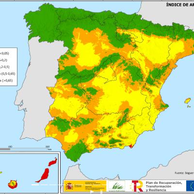 Urracas repobladoras frente a la desertificación