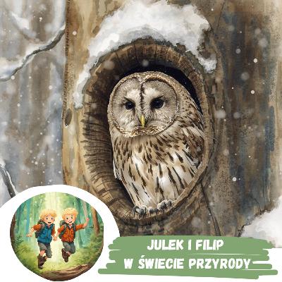 #60 Puszczyk z królewskiego parku