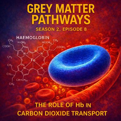 CO2 Transport