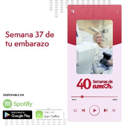 40 Semanas de Amor - Semana 37 de Embarazo