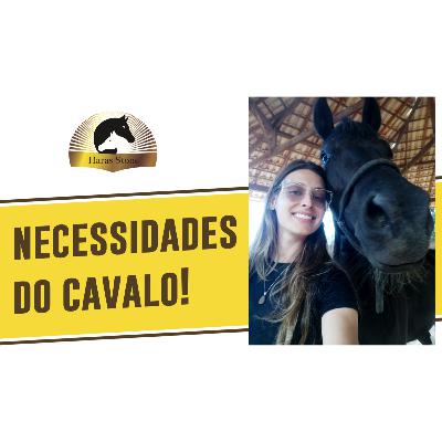 NECESSIDADES DO CAVALO! | Haras Stone #15