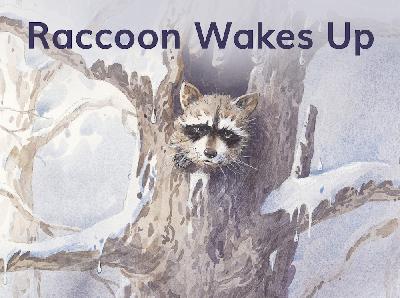 【Tina姐姐讲故事】Raccoon Wakes Up(level3)