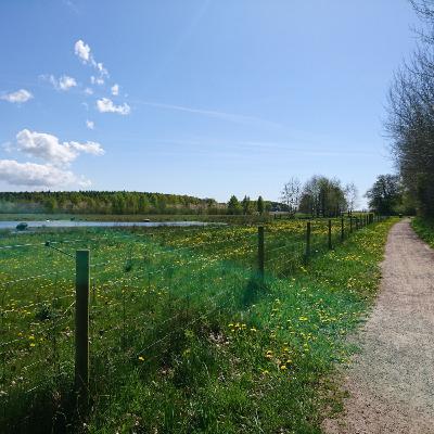 Hypnotiserad 2018 och kom in i himelriket