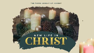 New Life in Christ
