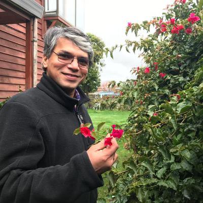 Of buzzy bees and Q-tips for pollinating eggplants