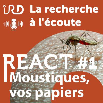 Contrôle d'identité : moustiques, vos papiers ! Contrôle d'identité : moustiques, vos papiers !
