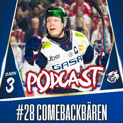 #28 COMEBACKBÄREN