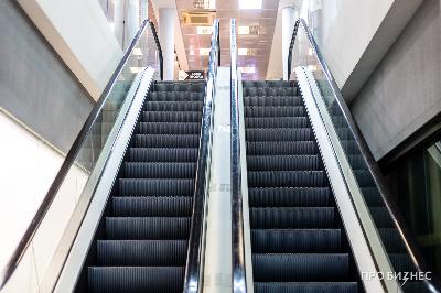 Управление бизнес-процессами: что нужно делать, чтобы в компании все работало как часы