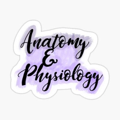 What&Why A&P Podcast