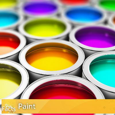 Fun Facts About Paint