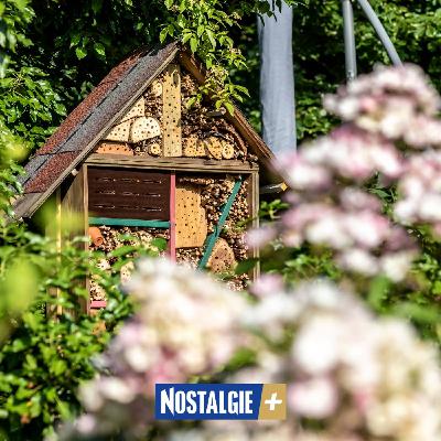 Pourquoi et comment installer un hôtel à insectes dans son jardin ? Pourquoi et comment installer un hôtel à insectes dans son jardin ?