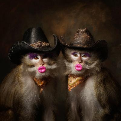 Главный секрет приматов: что мы любим даже больше секса