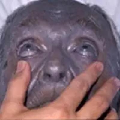 Ep.25 Gente azul of Kentucky