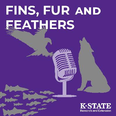 Voles | Fins, Fur, & Feathers #469