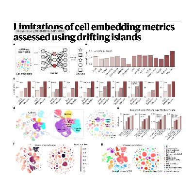299-Limitations and Augmentation of Cell Embedding Metrics 299-Limitations and Augmentation of Cell Embedding Metrics