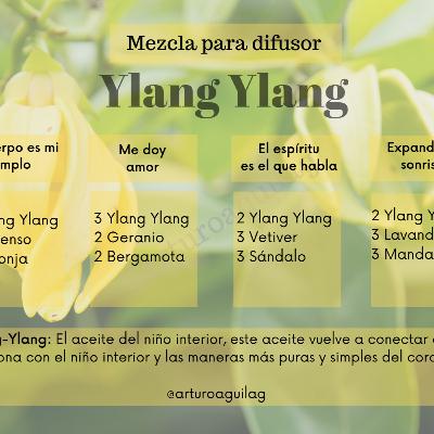 Ylang Ylang ” El aceite del niño interior”
