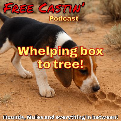 Start them pups off the teet! Start them pups off the teet!