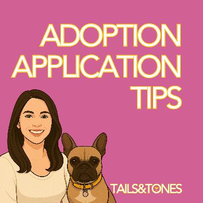 2: How to Make Your Pet Adoption Application Stand Out