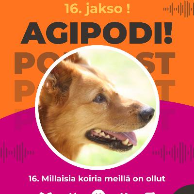 16. Millaisia koiria meillä on ollut