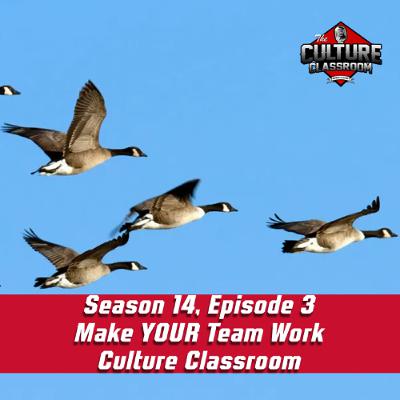 Season 14, Episode 3: Make YOUR Team Work