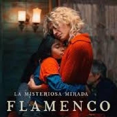 09x12 Entrevista David Céspedes director de La misteriosa mirada del Flamenco 09x12 Entrevista David Céspedes director de La misteriosa mirada del Flamenco