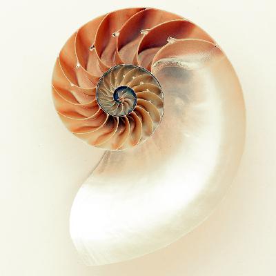 3 - The Creation and Progression of Workshops - Peter Ralston Podcast