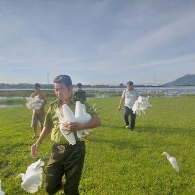 Tin trong nước - Chi cục kiểm lâm vùng II phát hiện 11 khu vực có hoạt động bẫy chim trái phép Tin trong nước - Chi cục kiểm lâm vùng II phát hiện 11 khu vực có hoạt động bẫy chim trái phép
