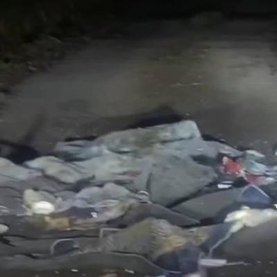 Illegal Dumping Again At Gallows Hill: Is It Time To Explore Alternative Solutions Or Raise Penalties? Illegal Dumping Again At Gallows Hill: Is It Time To Explore Alternative Solutions Or Raise Penalties?