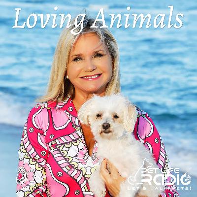 Loving Animals - Episode 96 Loving Animals - Even When They're Misbehaving!