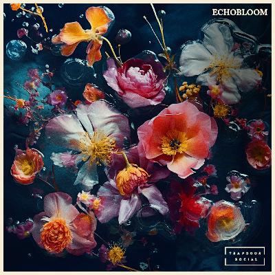 The Trapdoor Social Echobloom Podcast #3 - "Profit" The Trapdoor Social Echobloom Podcast #3 - "Profit"