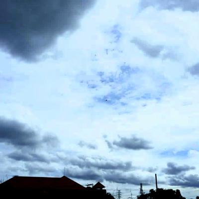 Trauma makes you Trauma makes you