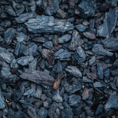 EP. 6: Liam Olds (Founder, Colliery Spoil Biodiversity Initiative / Conservation, Bug Life Cymru)