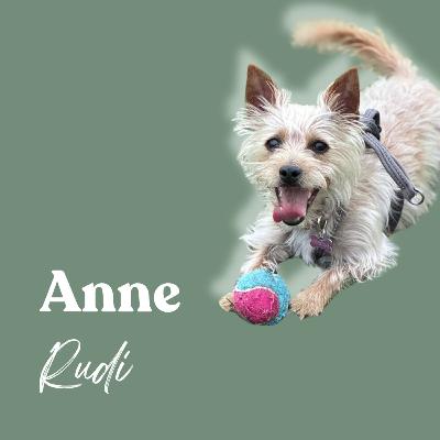 Roadside Rescue to Barking Breakthroughs: A Yorkie Soul Pet Story Roadside Rescue to Barking Breakthroughs: A Yorkie Soul Pet Story