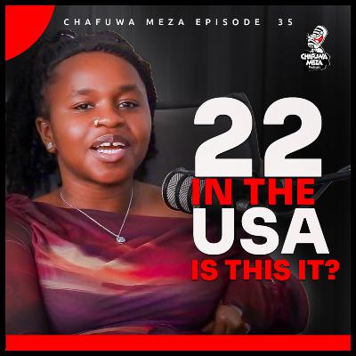 22 IN THE USA: IS THIS IT? 22 IN THE USA: IS THIS IT?