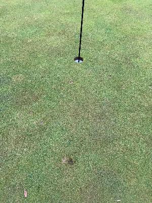 S2 Ep7: Short Story Wednesday -- A Hole-in-One From Heaven -- Jesse DeBock S2 Ep7: Short Story Wednesday -- A Hole-in-One From Heaven -- Jesse DeBock