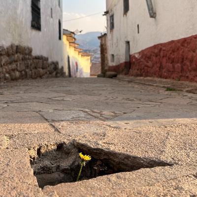 Resiliencia, estilo de vida y neurogénesis adulta