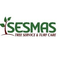 Tree Service Atlanta