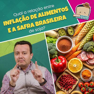 Qual a relação entre a inflação de alimentos e a safra brasileira de soja? Qual a relação entre a inflação de alimentos e a safra brasileira de soja?