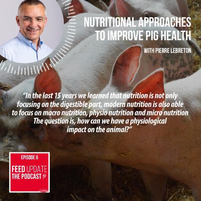 Ep. #6 | Nutritional approaches to improve pig health, with Pierre Lebreton